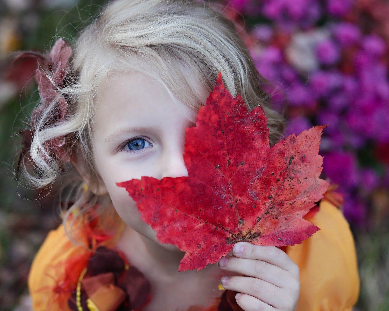 autumn